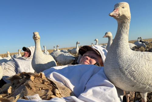 WhatsApp Image 2025-10-24 at 19.00.38 discount duck hunting Canada