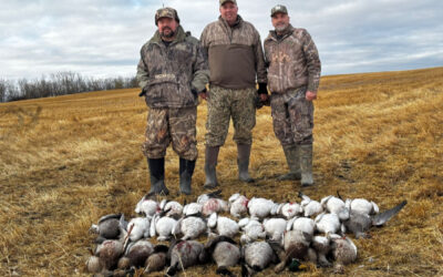 2025 End of Season Migration Waterfowl Update